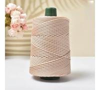 LIUXIN Hilo de Crochet de Verano, Cuerda de Hielo, Hilo de 3 mm para Tejer a Mano, Bolsos, Sombreros para el Sol, Zapatos, Tejido a Mano, cojín de Seda, 200 g