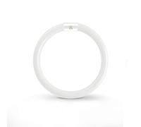 Liuyife Tubo Fluorescente Redondo T9 G10Q de Ahorro De Energía, 20,5cm, Tubo de Neón de 22W, Blanco Frío 6500K, Luz de Anillo de Ahorro de Energía, Adecuado para Cocina, Pasillo, Escalera, Dormitorio