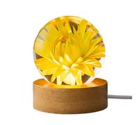 Liuyoyo Pisapapeles de Diente de León Real, Bola de Cristal Brillante de Diente de León Real, Bola de Cristal Brillante de Margarita Amarilla, Pisapapeles de Flor Eterna con Base