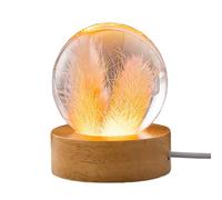 Liuyoyo Pisapapeles de Diente de León Real, Bola de Cristal Brillante de Diente de León Real, Bola de Cristal Brillante de Margarita Amarilla, Pisapapeles de Flor Eterna con Base