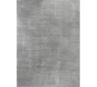 Livabliss Alfombra de Interior/Exterior con Motivos 3D en Relieve Gris 160x220