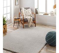 Livabliss Shaggy Rug - Alfombra Salon Grande Habitacion, Dormitorio - Alfombra Pelo Largo Berber Abstracta, Pelo Grueso y Esponjoso - Alfombras Grande de 160x213cm, Beige