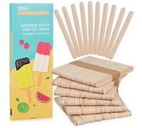 LIVAIA Palitos de madera para hacer helados o manualidades, 300 unidades
