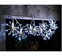 LIVARNO home Guirnalda de bombillas LED blanco frío 10 Flores (10 x kaltweiß)