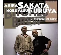 Live at Bitches Brew