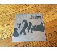 Live at Lollapalooza 2003