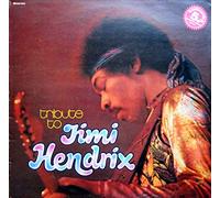 Live Experience Band, The - Live Experience Band, The - Tribute To Jimi Hendrix - Perl Serie - PSLP 190
