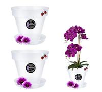 LiveLaif®-2 pcs Ø12cm-Maceta Orquidea Traslúdida + Plato a Juego | Maceta Orquidea Transparente | Maceta Plastico | Macetas para Orquídeas Transparente | Macetero Orquidea (2, Ø12 cm)