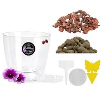 LiveLaif® Kit Transplante Orquideas: Maceta Orquidea Oval ⊘16cm (Agujeros y Plato) + Sustrato Orquideas Premium con Corteza de Pino, Coco, Arlita, Perlita, Vemiculita, Abono NPK + Accesorios