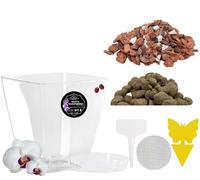 LiveLaif® Kit Transplante Orquideas: Maceta Orquidea RECTANGULAR 14X14X15 (Agujeros y Plato) + Sustrato Orquideas Premium con Corteza de Pino, Coco, Arlita, Perlita, Vemiculita, Abono NPK + Accesorios