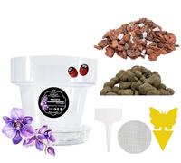 LiveLaif® Kit Transplante Orquideas: Maceta Orquidea Transparente ⊘12cm (Agujeros y Plato) + Sutrato Orquideas Premium con Corteza de Pino, Coco, Arlita, Perlita, Vemiculita, Abono NPK + Accesorios