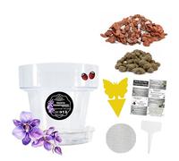LiveLaif® Kit Trasplante Orquídeas: Maceta Orquídea Transparente Ø17cm (Agujeros y Plato) + Sustrato Orquídeas Premium con Corteza de Pino, Coco, Arlita, Perlita, Vermiculita, Abono NPK + Accesorios