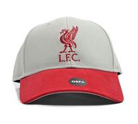 Liverpool FC - Gorra Dos Tonos para Adultos Unisex (Talla Única) (Gris, Rojo)