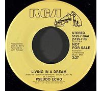 Living in a dream (1987) / Vinyl Maxi Single [Vinyl 12'']
