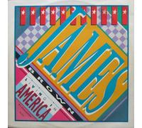 Living In America - James Brown 12"