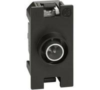 LIVING NOW PRESA DIRECT TV 1 MODULE K4202P10