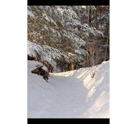 Living the Journey: How to Save the Future by Not Dwelling There