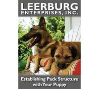 Living with Your Puppy And Establishing Pack Structure