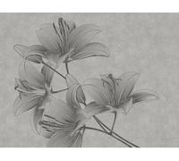 Livingwalls 382781 - Papel pintado fotográfico (3,71 x 2,80 m), diseño de flores, color gris