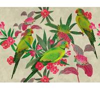 Livingwalls Papel pintado fotográfico con pájaros, verde y rosa, 382541, para salón, 3,71 x 2,80 m, fabricado en Alemania