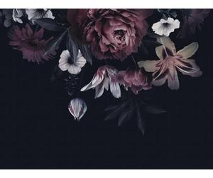 Livingwalls Papel pintado fotográfico de flores oscuras 382791, 3,71 x 2,80 m, fabricado en Alemania