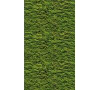 Livingwalls WTD 398391 - Papel pintado fotográfico (3,71 x 2,80 m), color verde