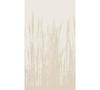 Livingwalls WTD 398781 - Papel pintado fotográfico (2,12 m x 2,80 m), diseño de flores, color beige