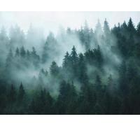 Livingwalls WTD 398981 - Papel pintado fotográfico (3,71 x 2,80 m, 3,71 x 2,80 m), color verde y azul