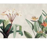 Livingwalls WTD 399171 - Papel pintado fotográfico (3,71 x 2,80 m), diseño de selva en color crema, gris y verde