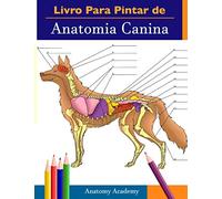 Livro Para Pintar de Anatomia Canina: Livro de Cores de Autoavaliação Muito Detalhado Para Estudar de Anatomia Canina | O Presente Perfeito Para Estudantes de Veterinária, Amantes de Cães e Adultos