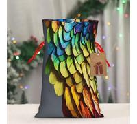 LIXLZH Colorido bolso de Navidad con estampado de plumas dibujadas a mano, bolsas de cordón para mujeres y hombres, bolsas de Navidad, Año Nuevo, bolsas de fiesta, bolsa de recuerdos de fiesta