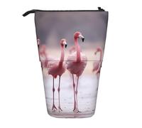 Lixlzh Pink Flamingos - Estuche telescópico para lápices de pie, de poliéster, para bolígrafos, papelería, oficina, caja organizadora de oficina, color negro, talla única, Art Deco, Black, Talla única