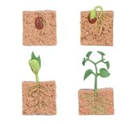 LIXSAZSE 1 Juego de Modelo de Ciclo de Vida de Semillas para el hogar Creativo Simple simulación Exquisita Juguete Educativo Semillas de Juguete para la Escuela