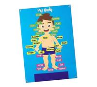 LIXSAZSE Emocionante Experiencia de Aprendizaje de Partes del Cuerpo, Juego Tablero Fieltro para narrar Historias, cautiva la atención los niños y satisface la curiosidad, educación Preescolar,