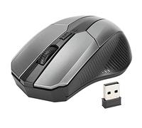 LIYJTK El ratón, Tiene Mini Accesorios ópticos ergonómicos del Ordenador del Aspecto 2.4G de Moda para la Tableta PC del Cuaderno (Gray)
