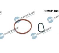 Lizarte, S.A. Kit de juntas, bomba de vacío para DS: DS4, DS3, DS5 & FORD: C-Max, Connect, Focus, Fiesta, Courier, Ecosport, Mondeo (Ref: DRM01169)