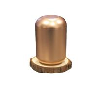 LIZHAYG Urna Cenizas Perro Urna funeraria de Aluminio for Mascotas, miniurna for Cenizas, Caja sellada de 4,5 x 7,5 cm(Gold)