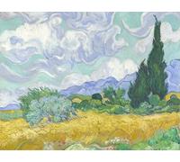 liziciti Kit de Arte de Pintura de Diamantes 5D para Adultos, Taladros Completos Obras Maestras de Van Gogh Bordado de Punto de Cruz con Pedrería 30x40cm (Campo de Trigo con Cipreses)