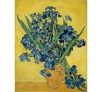 liziciti Kit de Arte de Pintura de Diamantes 5D para Adultos, Taladros Completos Obras Maestras de Van Gogh Bordado de Punto de Cruz con Rhinestones 30x40cm (Iris Morado en una Botella)