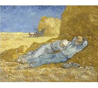 liziciti Kit de pintura de diamantes 5D para adultos, obras maestras de Van Gogh, bordado de punto de cruz, 30 x 40 cm (La sieste)