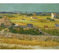 liziciti Kit de Pintura de Diamantes 5D para Adultos, Punto Completo de Obras Maestras de Van Gogh, Bordado de Diamantes de Imitación 30x40cm (Gran Recorte)