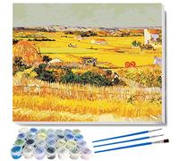 liziciti Kits de pintura por números, serie de obras maestras de Vincent Van Gogh, obras de arte de pintura al óleo para adultos, niños, principiantes, 40 x 50 cm, sin marco (Big Crop)