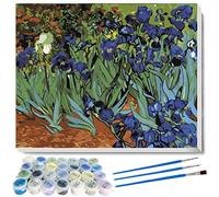 liziciti Kits de pintura por números, serie de obras maestras de Vincent Van Gogh, obras de arte de pintura al óleo para adultos, niños, principiantes, 40 x 50 cm, sin marco (Iris)