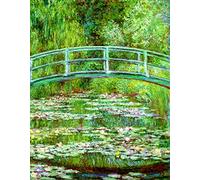liziciti Monet - Kits de pintura de diamantes 5D, colección de pinturas de diamantes famosas para decoración de pared del hogar, bricolaje, 12 x 16 pulgadas (estanque de lirio de agua)