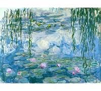 liziciti Monet - Kits de pintura de diamantes 5D, colección de pinturas de diamantes famosas para decoración de pared del hogar, bricolaje, 12 x 16 pulgadas (lirio de agua)