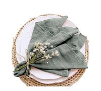 LJAYNJC Servilletas de Tela Servilletas de Tela de algodón, Tela de Gasa Azul de 30x30cm for Fiesta de Boda, cumpleaños, Toalla de té, Mesa, servilletas de Navidad, 10 Uds.(4)