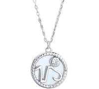 LJHJYDW Silver Necklace for Women Twelve Constellations Coin Necklace Necklace Dainty Inlaid Zircon Pendant Chain Necklace for Women Lady Gifts