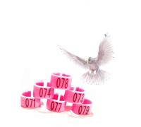 LJISEHG Anillos de plástico con Clip for identificación de Aves, Etiquetas for Patas de Aves de Corral, for Pollos, Patos, codornices, cobayas y pájaros del Amor(Pink,001-300)
