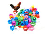LJISEHG Anillos Digitales de plástico for Patas de pájaros, Bandas Rojas for Patas de identificación for Pollos, Palomas, Patos y Entrenamiento de Mascotas(Mixed Color 801-900,8mm(0.315in))