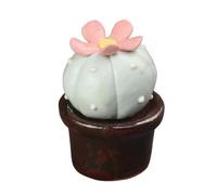 LJJCSFF Mini figuras de plantas de cerámica de cactus de imitación surtidas suculentas artificiales de cerámica, flores suculentas, plantas falsas 3D hechas a mano de cerámica suculenta